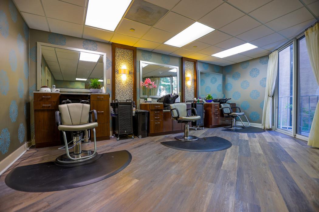 Renaissance on Peachtree - Brookhaven, GA