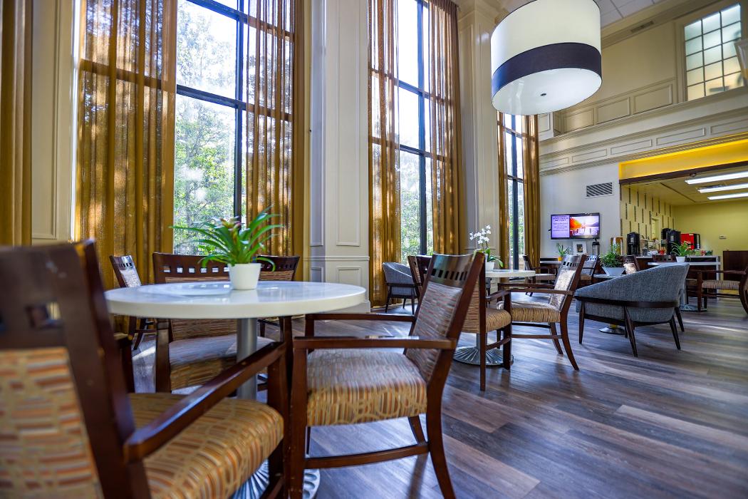 Renaissance on Peachtree - Brookhaven, GA