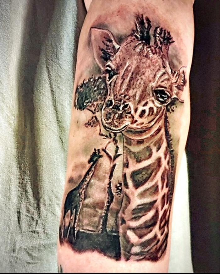 Luxo Divino - Charlotte, NC