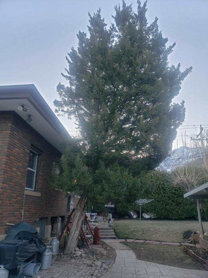 KC Tree Care, LLC - Roy, UT