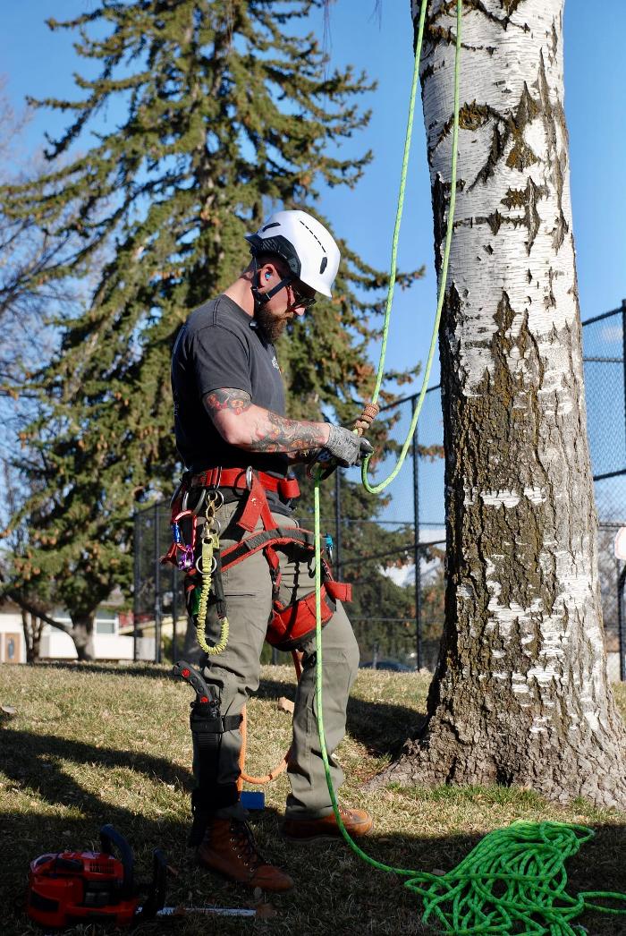 KC Tree Care, LLC - Roy, UT