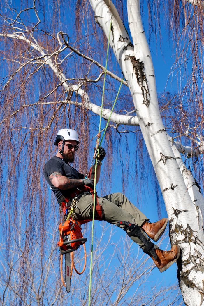 KC Tree Care, LLC - Roy, UT