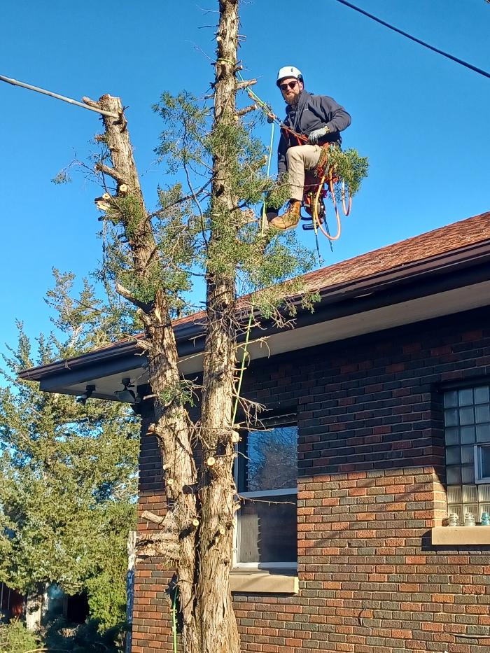 KC Tree Care, LLC - Roy, UT
