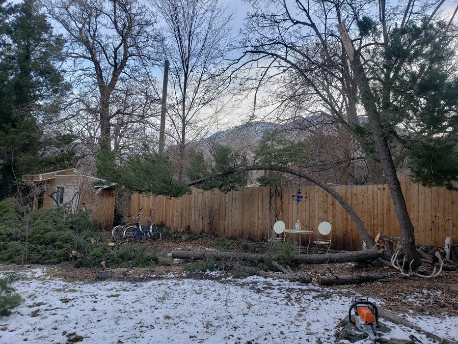 KC Tree Care, LLC - Roy, UT
