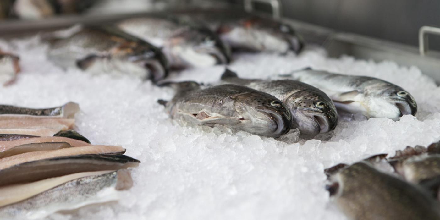 Rubigenhof Fischzucht AG, Alte Belpstrasse in Rubigen