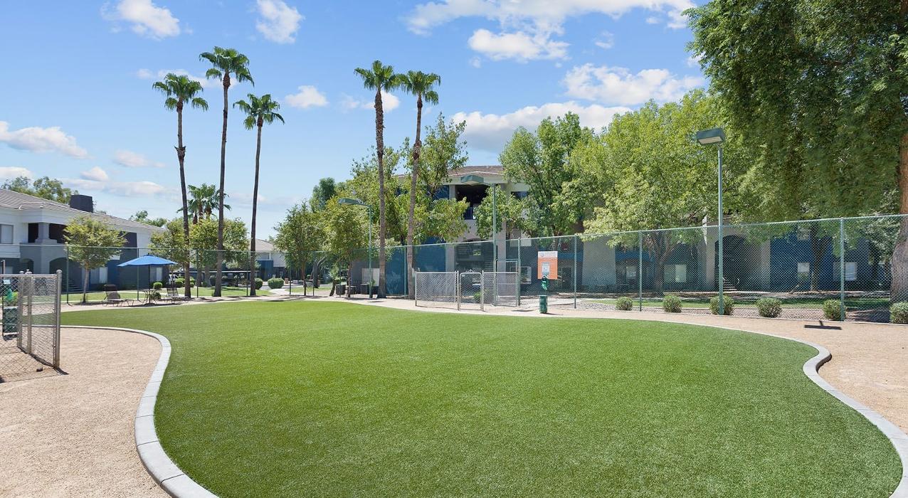 Stone Canyon Apartments - Mesa, AZ