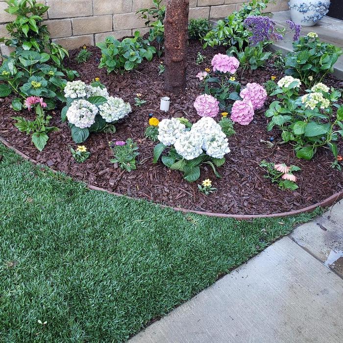 Lomas Verdes Landscaping - Pacoima, CA