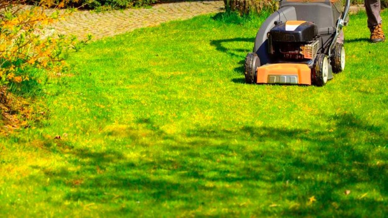 Lomas Verdes Landscaping - Pacoima, CA