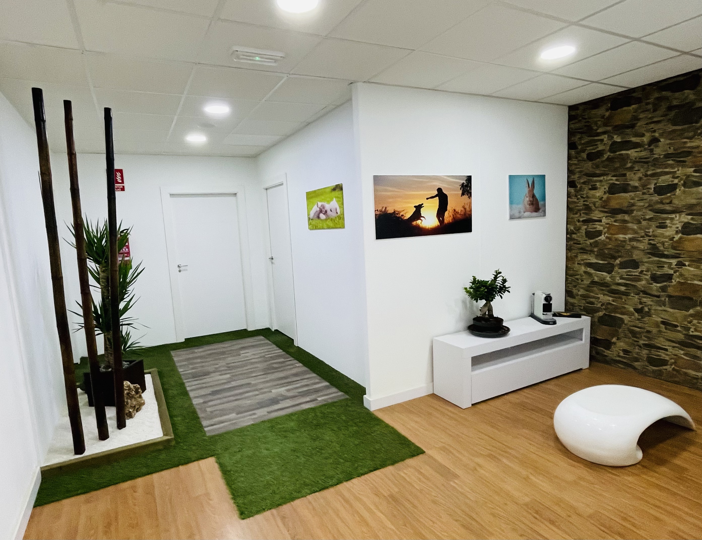 Galería en miniatura