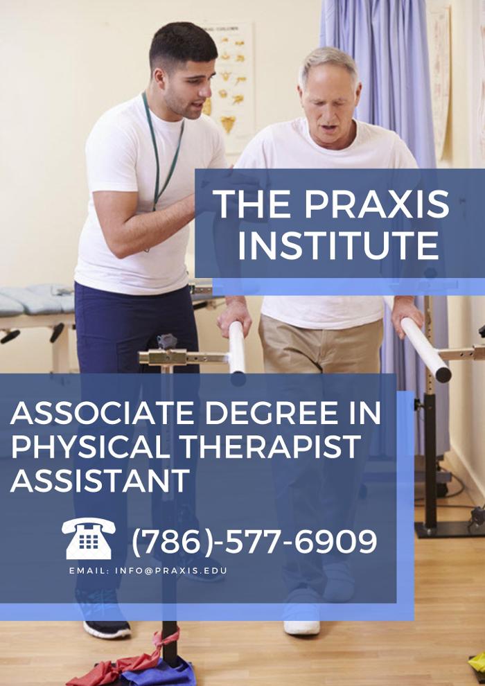 The Praxis Institute - Miami, FL