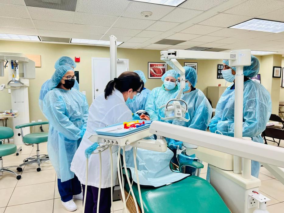 The Praxis Institute - Miami, FL