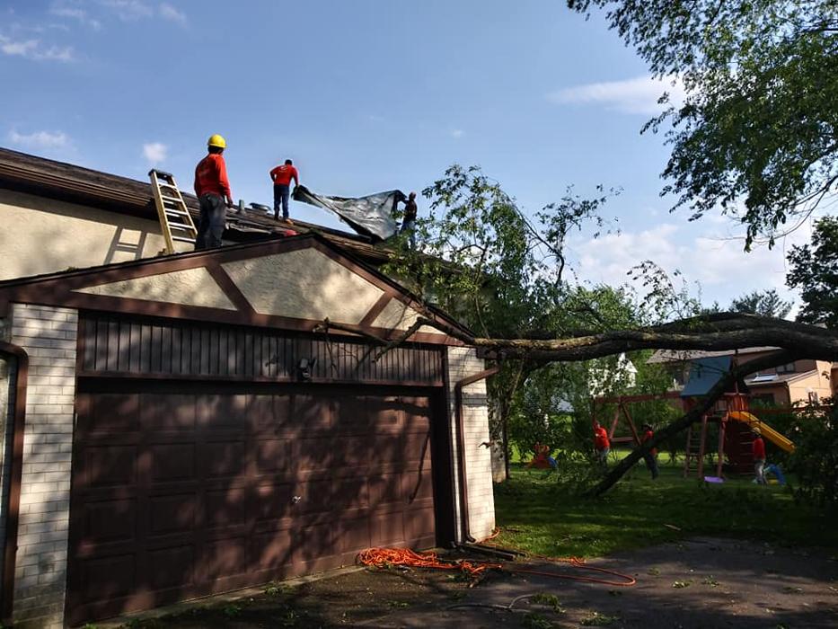 JC Tree & Lawn LLC - Trenton, NJ