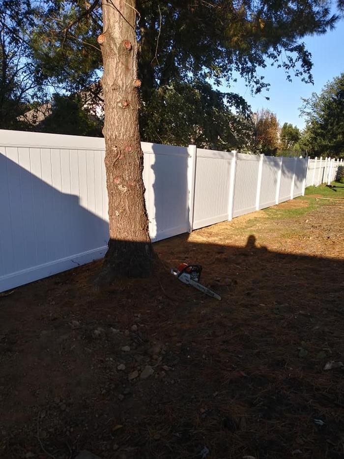 JC Tree & Lawn LLC - Trenton, NJ