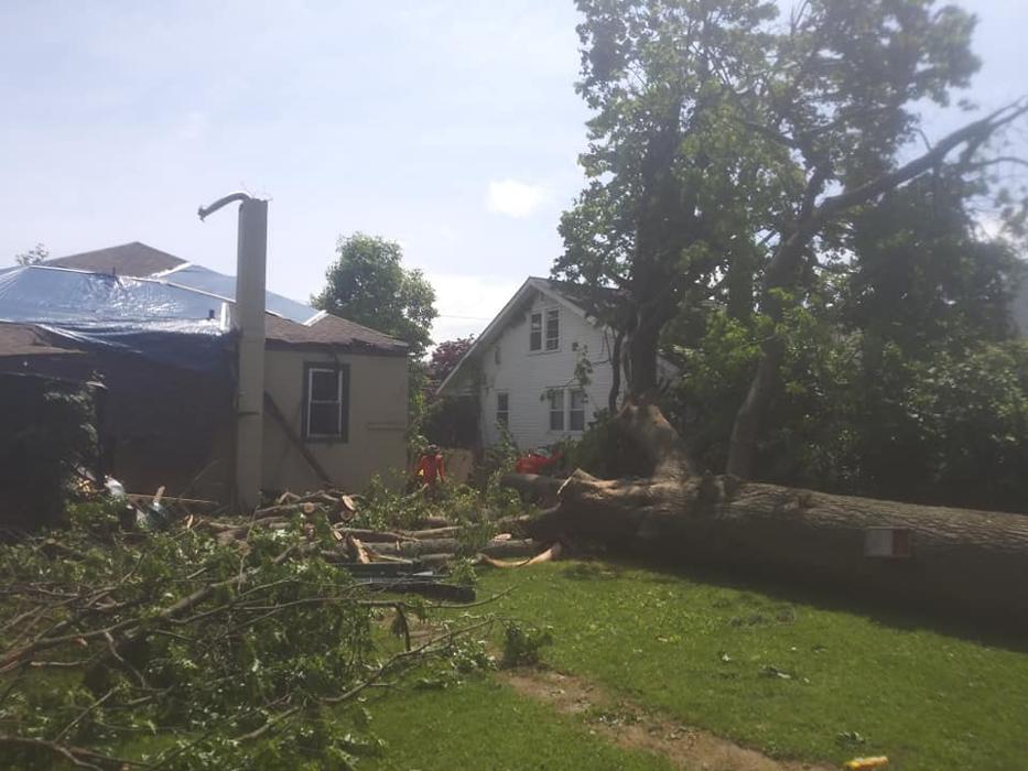 JC Tree & Lawn LLC - Trenton, NJ