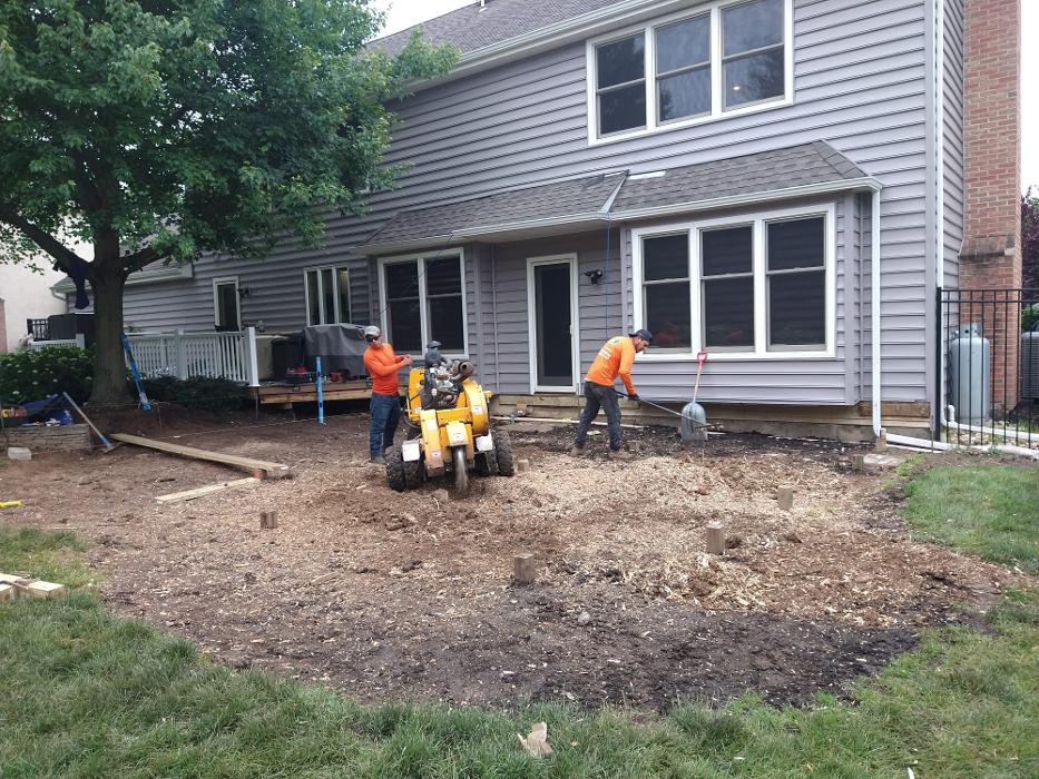 JC Tree & Lawn LLC - Trenton, NJ