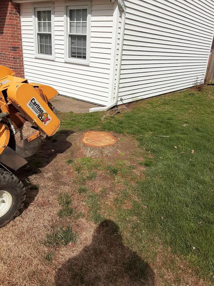 JC Tree & Lawn LLC - Trenton, NJ