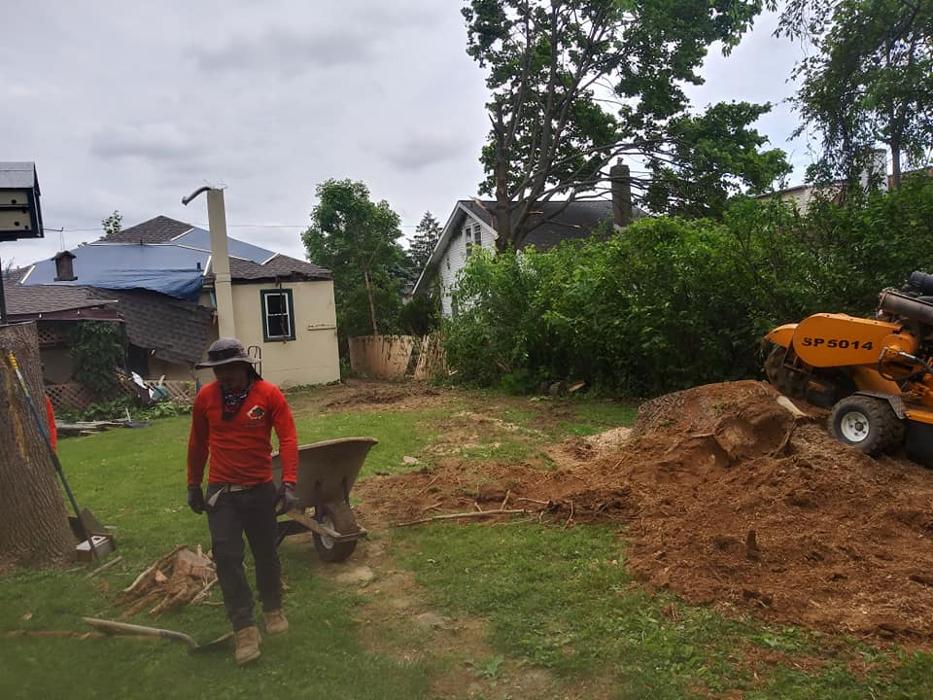 JC Tree & Lawn LLC - Trenton, NJ