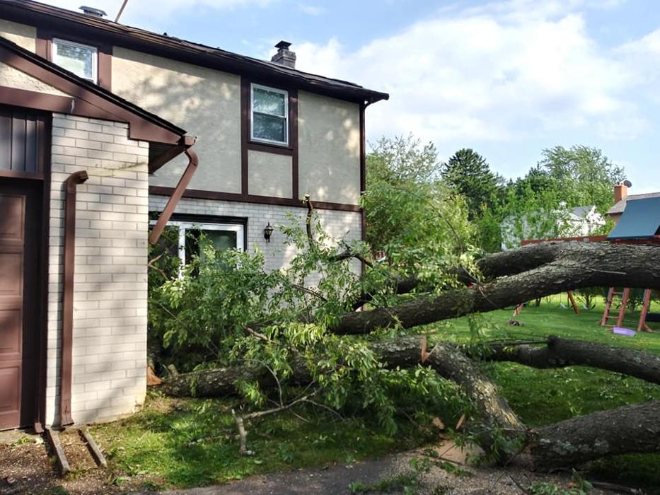 JC Tree & Lawn LLC - Trenton, NJ