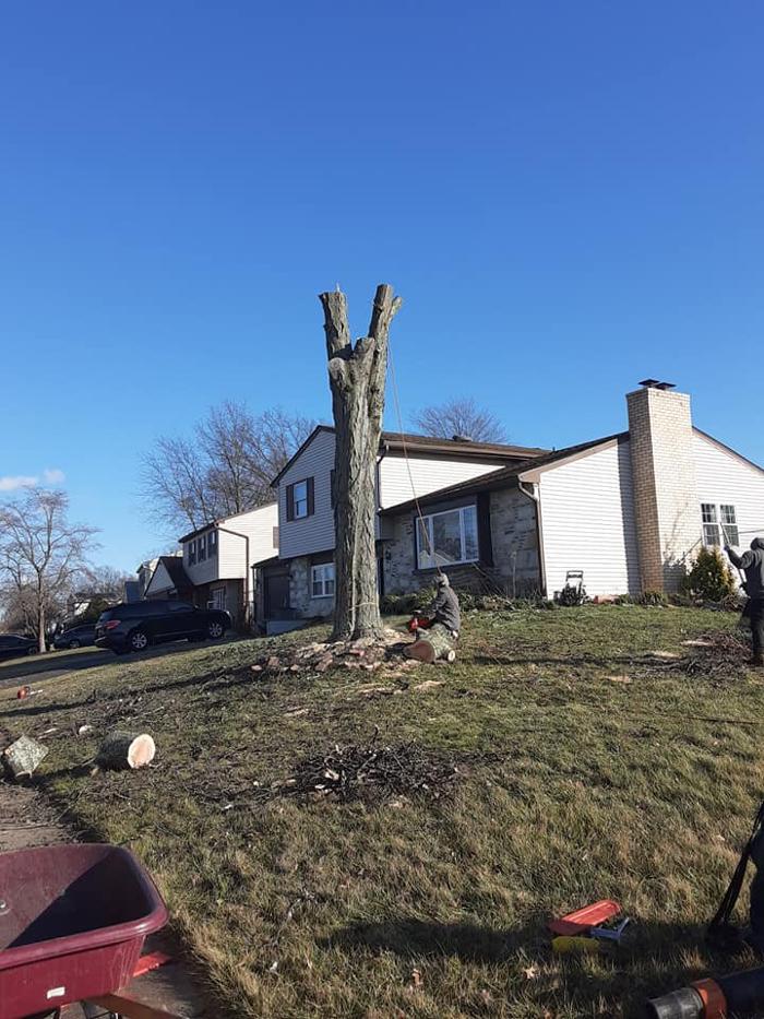 JC Tree & Lawn LLC - Trenton, NJ