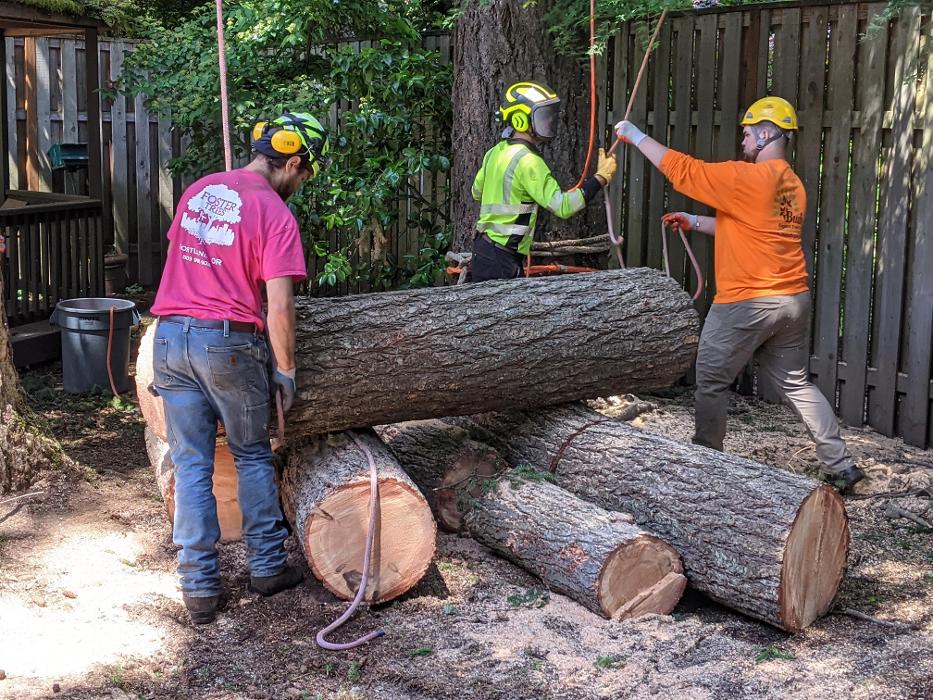 CLOSED - ALL ABOUT TREES LLC - Hillsboro, OR