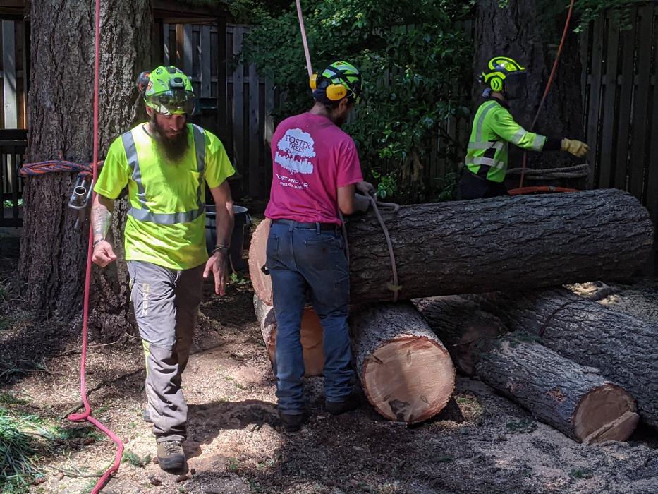 CLOSED - ALL ABOUT TREES LLC - Hillsboro, OR