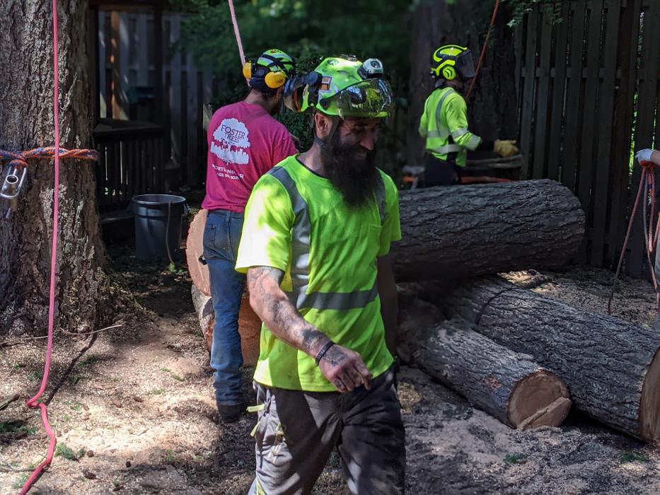 CLOSED - ALL ABOUT TREES LLC - Hillsboro, OR