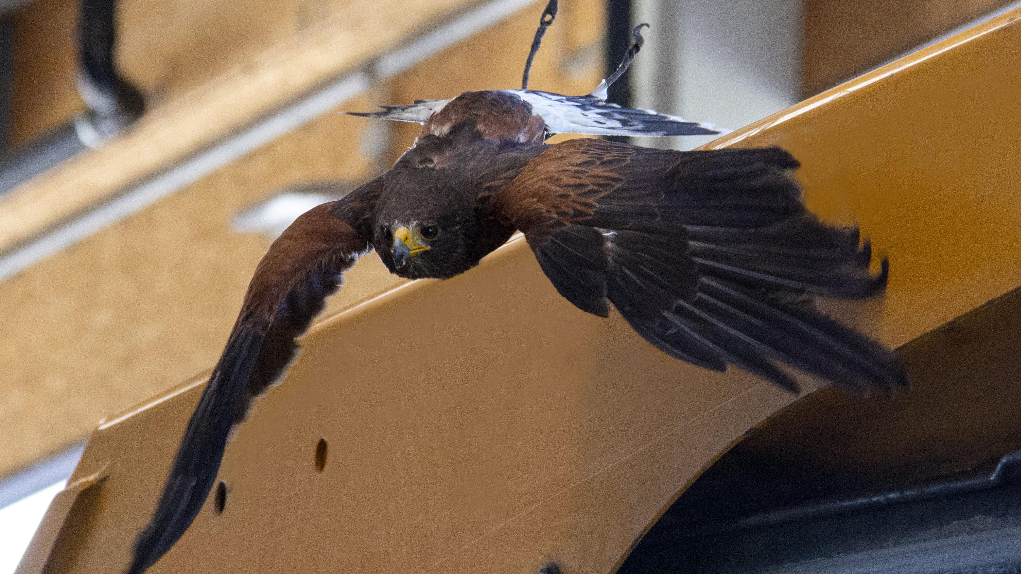 Falken ultima GmBH, Alte Römerstraße in Jüchen