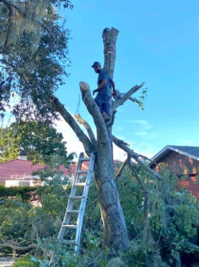 Double H Forestry - Saint Cloud, FL