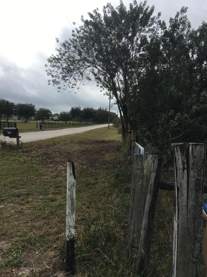 Double H Forestry - Saint Cloud, FL