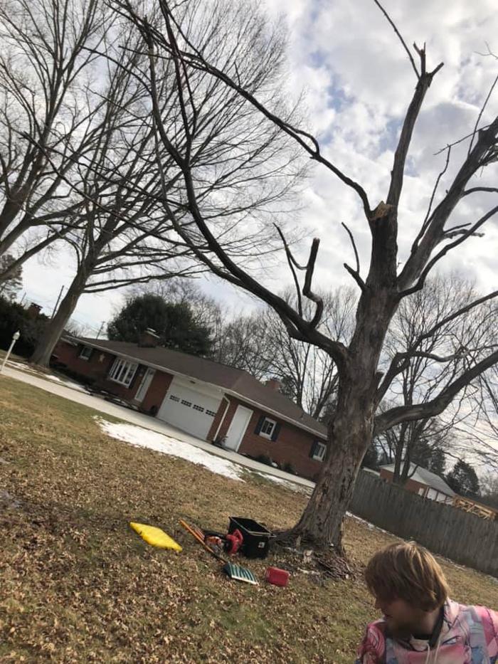 Precision Property Maintenance - Springfield, OH