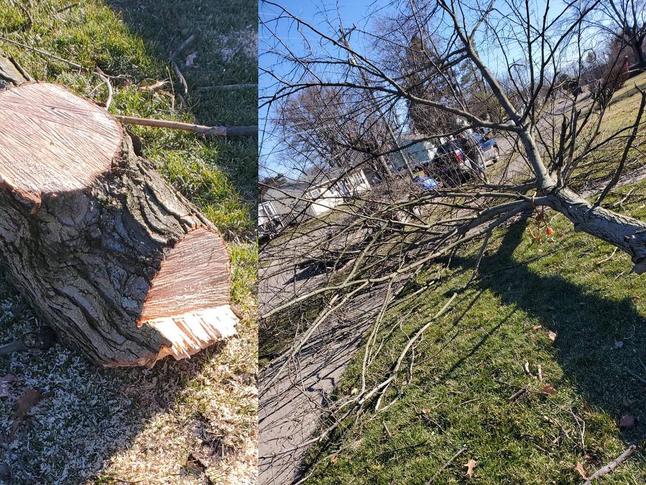 Precision Property Maintenance - Springfield, OH