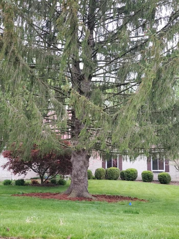 Precision Property Maintenance - Springfield, OH
