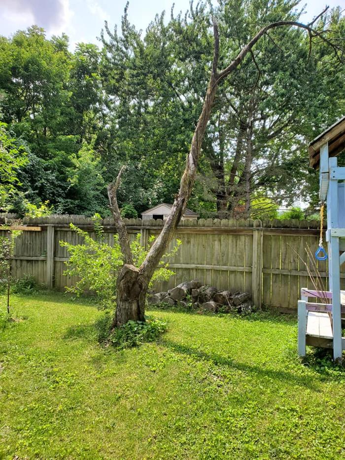 Precision Property Maintenance - Springfield, OH