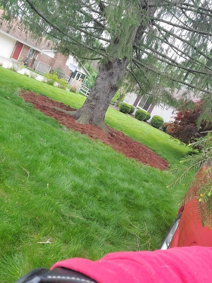 Precision Property Maintenance - Springfield, OH