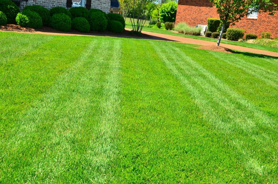 Lawnridge Landscape Maintenance LLC - Medford, OR