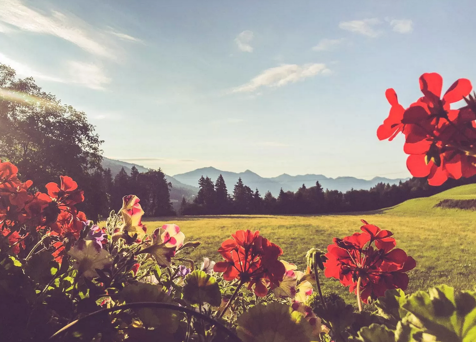 Rahmhof am Bruggberg Brixental, Bruggberg in Wörgl
