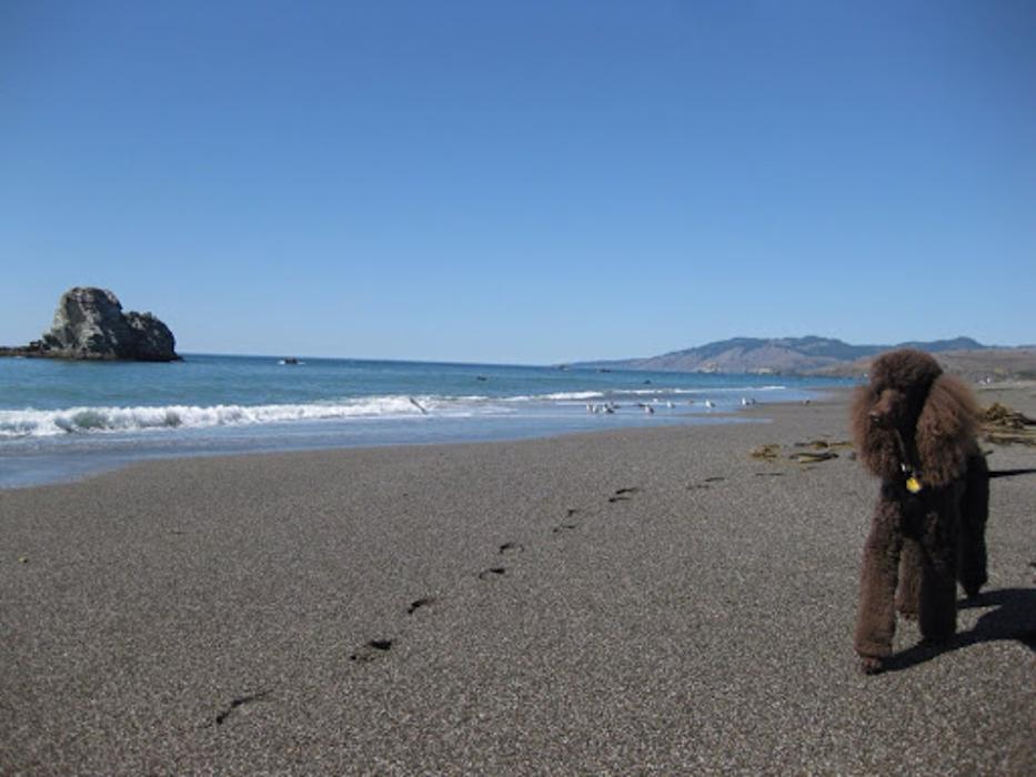 Rocklin Pet Spa - Rocklin, CA