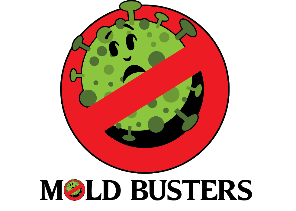 Mold Busters Ogden - Ogden, UT