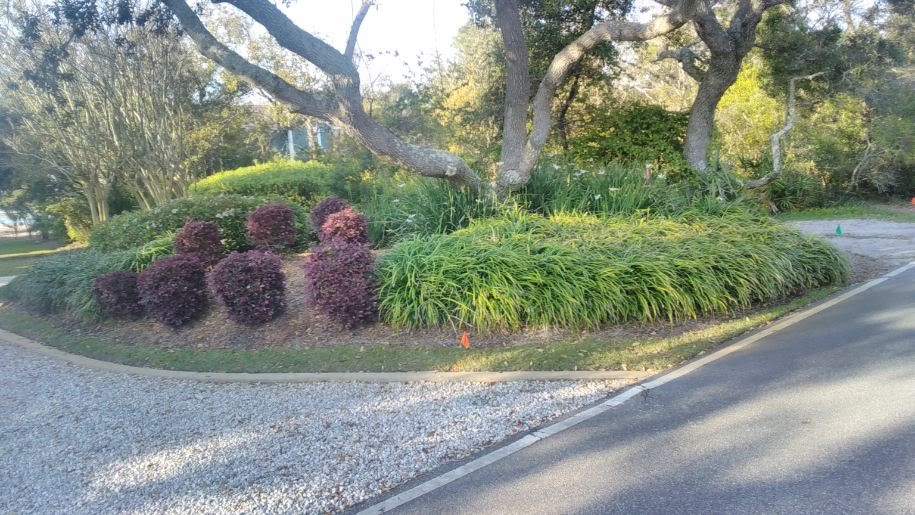 Coastal Tree and Landscaping Services Image