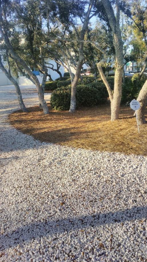 Coastal Tree and Landscaping Services Image