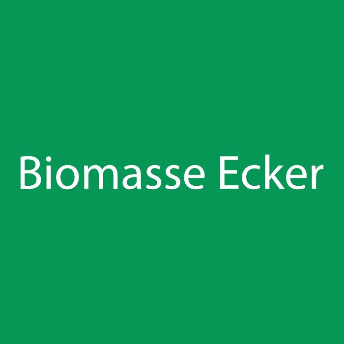 Biomasse Ecker GmbH&Co.KG