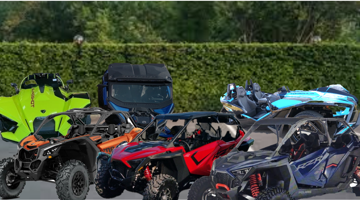 Bearly Legal Street Rides - Sevierville, TN