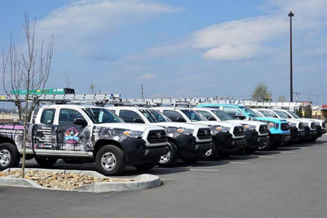 Complete Animal Removal - Franklin, TN