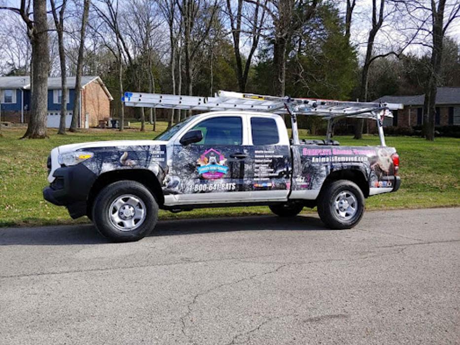Complete Animal Removal - Franklin, TN