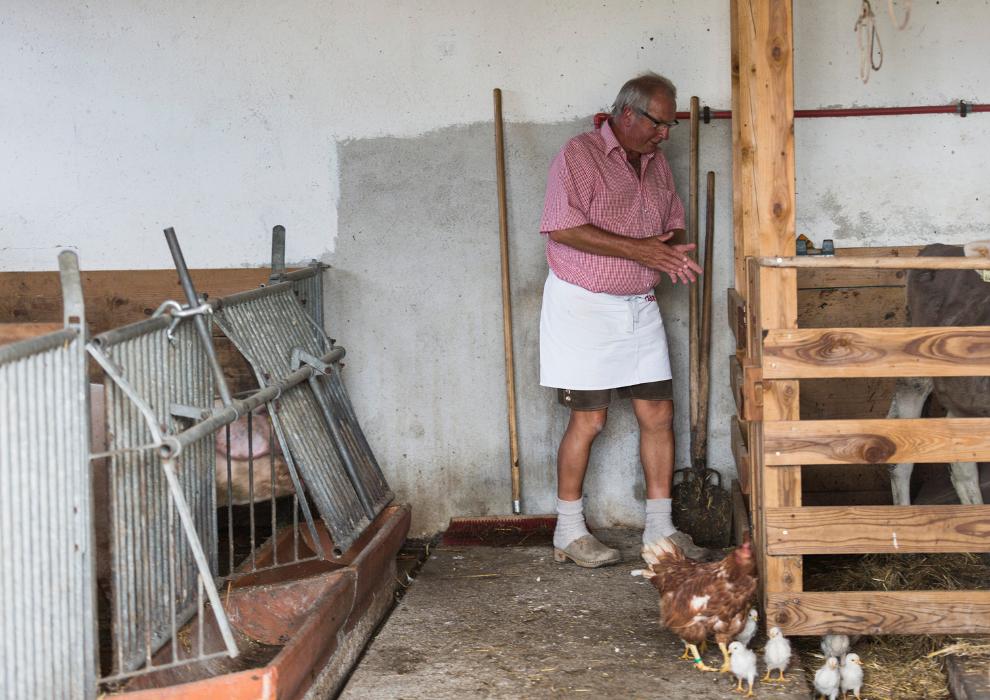 Berggasthof Hochlechen Söll am Wilden Kaiser, Berg in Söll