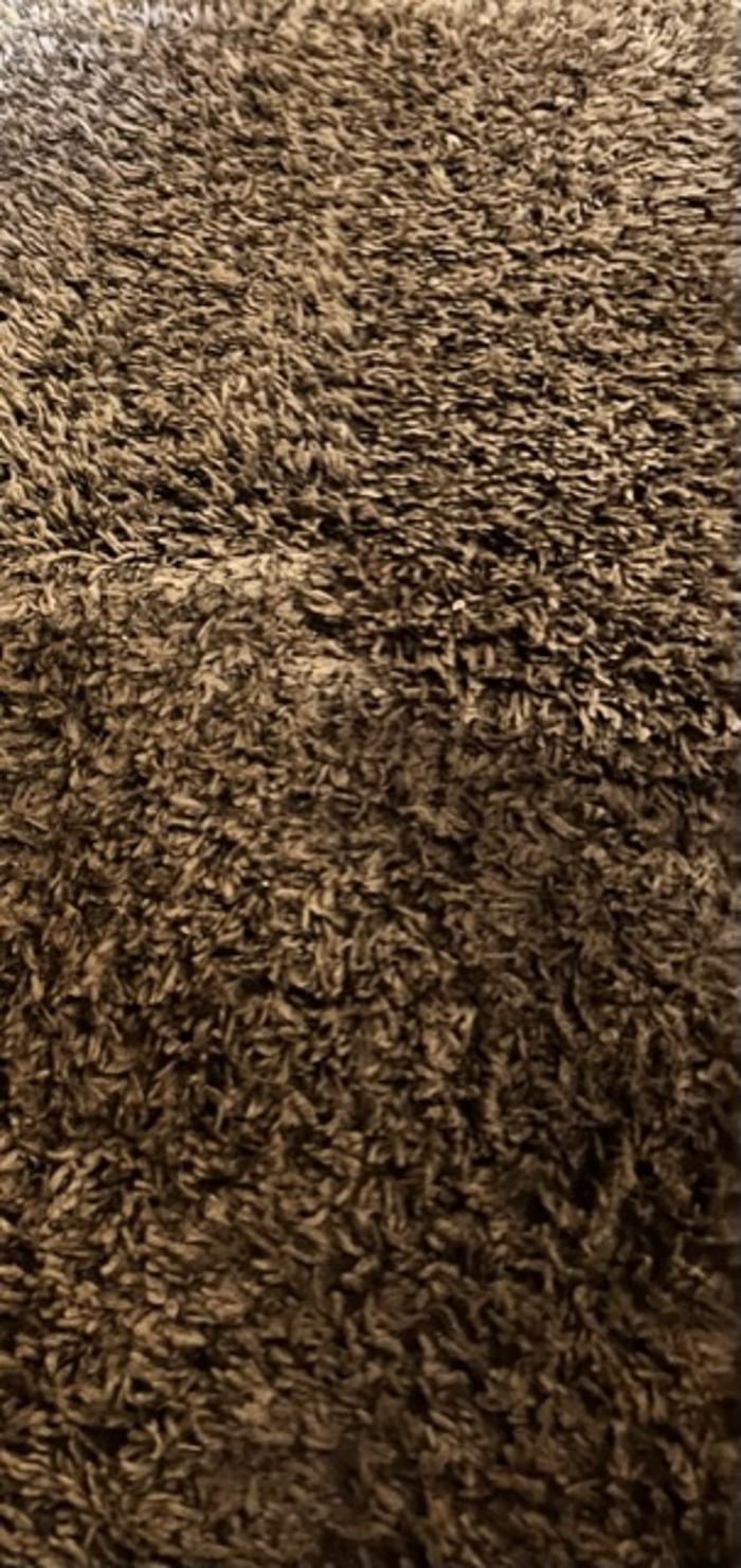 Aztec Carpet Cleaning - Santee, CA