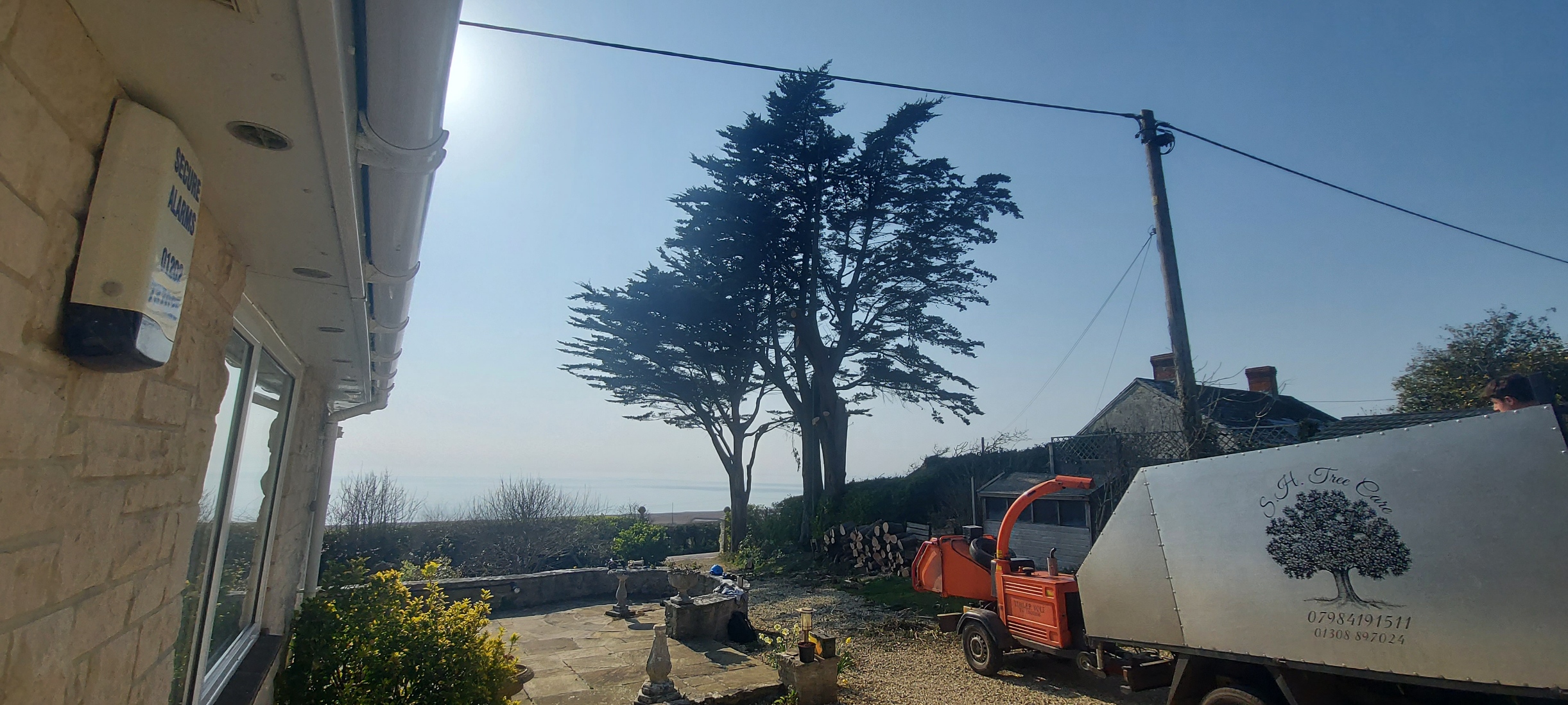 S.H. Tree Care Dorchester 01308 897024