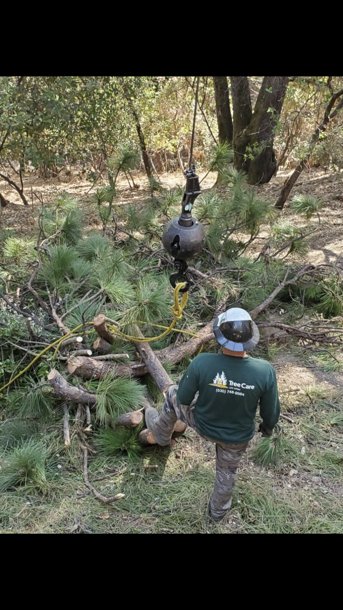 HV Tree Care - Placerville, CA