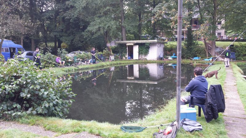 Galerie-Thumbnail
