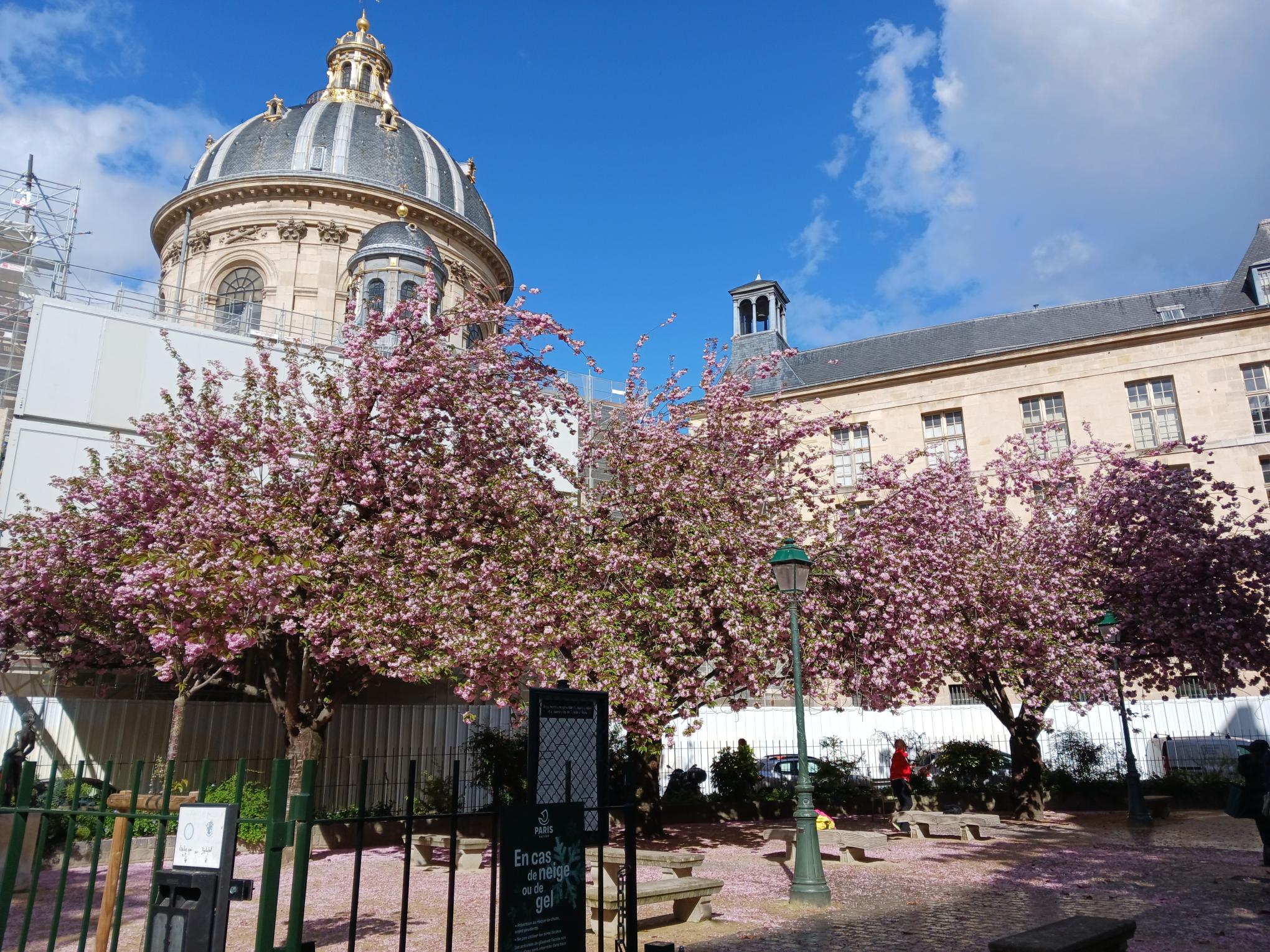 Miniature de la galerie